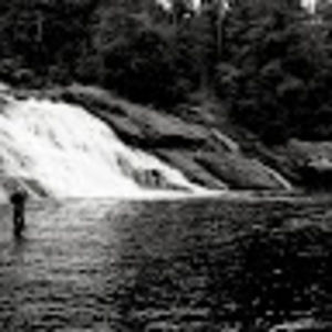 Meet your Posher, Nicholas